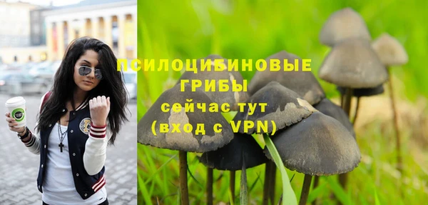 дживик Алексин